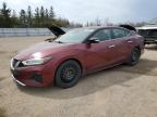 2021 NISSAN MAXIMA SL à vendre chez Copart ON - TORONTO