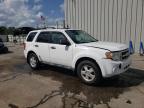 2012 Ford Escape Xlt იყიდება Harleyville-ში, SC - Front End
