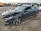 2013 Kia Optima Hybrid   for Sale in Indianapolis, IN - Front End