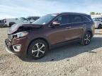 2016 Kia Sorento Ex за продажба в Earlington, KY - Front End