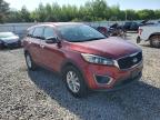 2017 Kia Sorento Lx for Sale in Memphis, TN - Hail