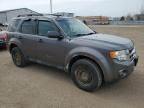 2011 Ford Escape Xlt იყიდება Bowmanville-ში, ON - Top/Roof