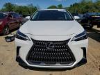 2025 Lexus Nx 250 Premium for Sale in Theodore, AL - Rear End