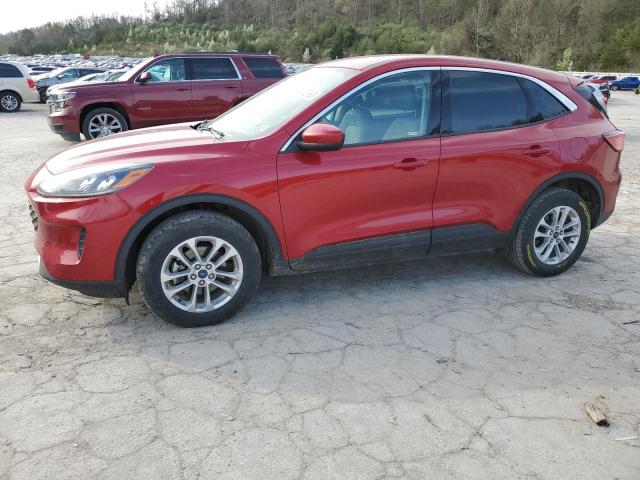  FORD ESCAPE 2020 Czerwony