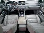 2010 Honda Accord Exl   продається в Haslet, TX - Front End
