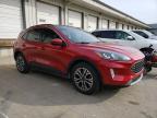 2021 Ford Escape Sel zu verkaufen in Louisville, KY - Hail