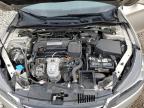 2014 Honda Accord Exl на продаже в Louisville, KY - Hail