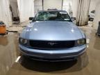 2005 Ford Mustang  for Sale in Central Square, NY - All Over