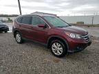 2013 Honda Cr-V Exl за продажба в Louisville, KY - Hail