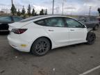 2021 Tesla Model 3  na sprzedaż w Rancho Cucamonga, CA - Front End