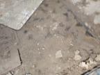 2022 'Other Rv' Other იყიდება Moraine-ში, OH - Water/Flood