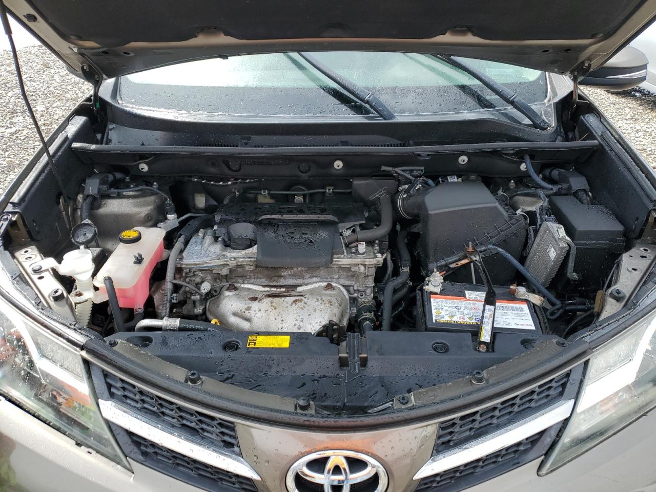 2015 Toyota Rav4 Xle VIN: 2T3RFREV5FW352798 Lot: 53806045