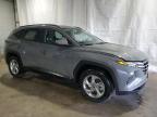 2024 Hyundai Tucson Sel for Sale in Brookhaven, NY - Minor Dent/Scratches