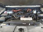 2024 TOYOTA LAND CRUISER BASE for sale at Copart QC - MONTREAL