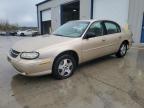 2004 Chevrolet Classic  for Sale in Cahokia Heights, IL - Rear End