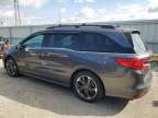 2023 Honda Odyssey Elite на продаже в Dyer, IN - Side
