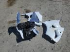 2001 Kawasaki Zx600 J1 for Sale in Jacksonville, FL - Rollover