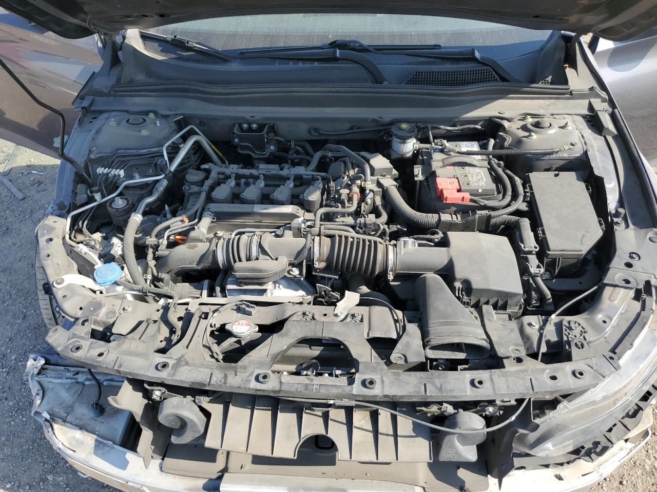 2019 Honda Accord Lx VIN: 1HGCV1F16KA024449 Lot: 67520095