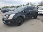 2013 Cadillac Srx Premium Collection на продаже в Bridgeton, MO - Hail
