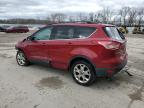 2013 Ford Escape Se en Venta en Franklin, WI - All Over