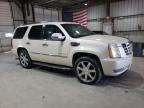 2009 Cadillac Escalade Hybrid for Sale in Rogersville, MO - Mechanical