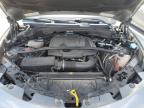 2018 Alfa Romeo Stelvio  for Sale in Riverview, FL - Rear End