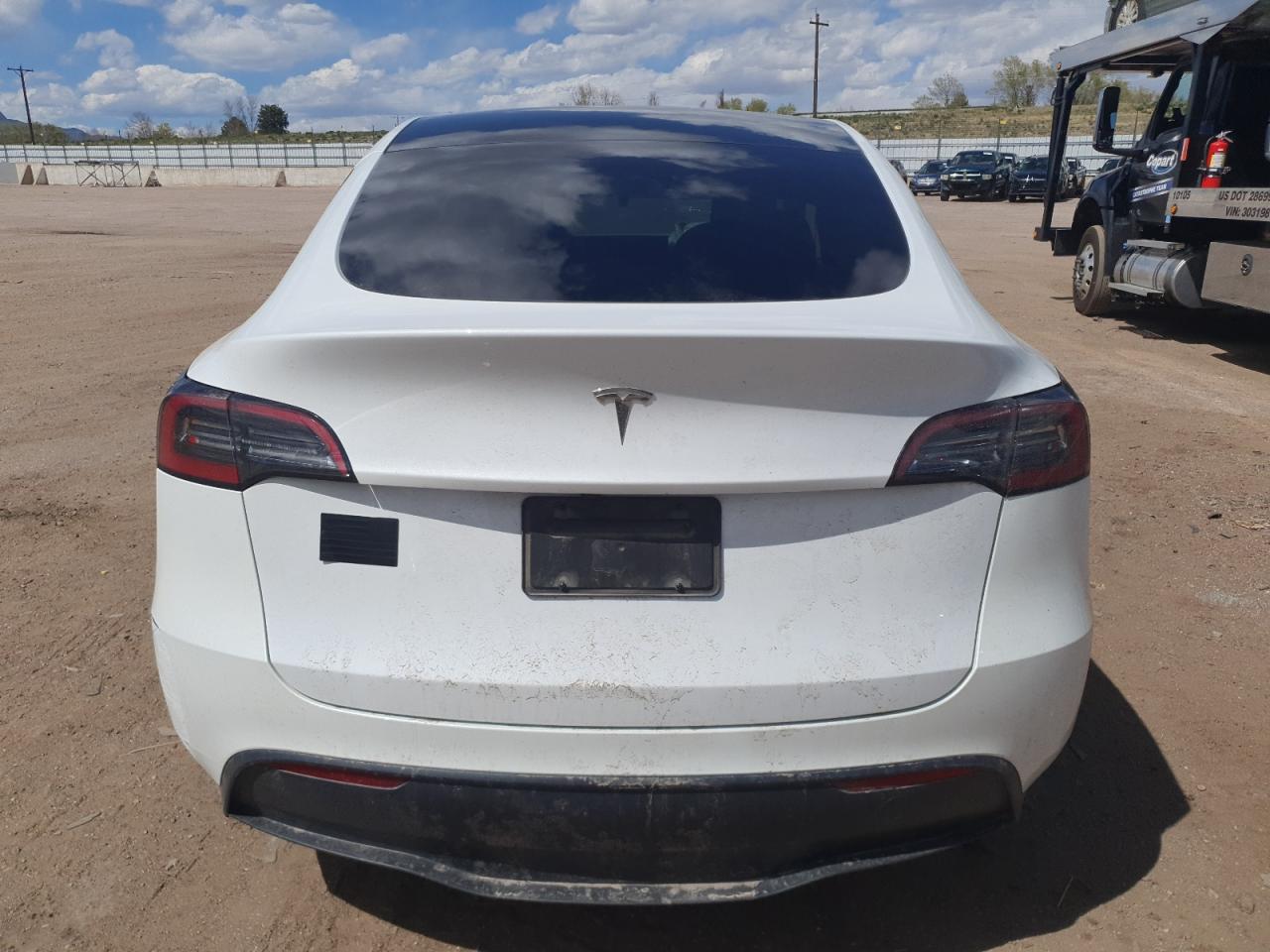 2024 Tesla Model Y VIN: 7SAYGDED1RF073221 Lot: 54175355