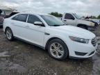 2017 Ford Taurus Sel na sprzedaż w Houston, TX - Minor Dent/Scratches
