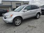 2010 Honda Cr-V Exl   zu verkaufen in Earlington, KY - Hail