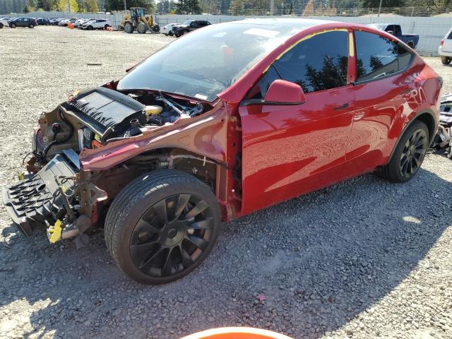  TESLA MODEL Y 2023 Красный