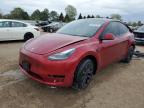 2024 Tesla Model Y    продається в Elgin, IL - Rear End