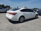 2013 Toyota Avalon Hybrid en Venta en Lumberton, NC - Front End