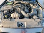 2016 Ford Mustang  for Sale in Grand Prairie, TX - All Over