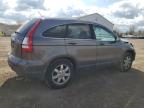 2009 Honda Cr-V Exl за продажба в Columbia Station, OH - Front End