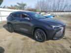 2025 Lexus Nx 350 Premium for Sale in Windsor, NJ - Side