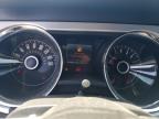 2014 Ford Mustang  იყიდება New Orleans-ში, LA - Rear End