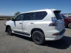 2020 Lexus Gx 460 Premium na sprzedaż w Albuquerque, NM - Front End