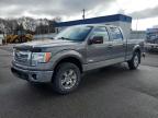 2014 Ford F150 Supercrew for Sale in Ham Lake, MN - Rear End