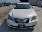 Corpus Christi, TX에서 판매 중인 2012 Lexus Es 350 - All Over