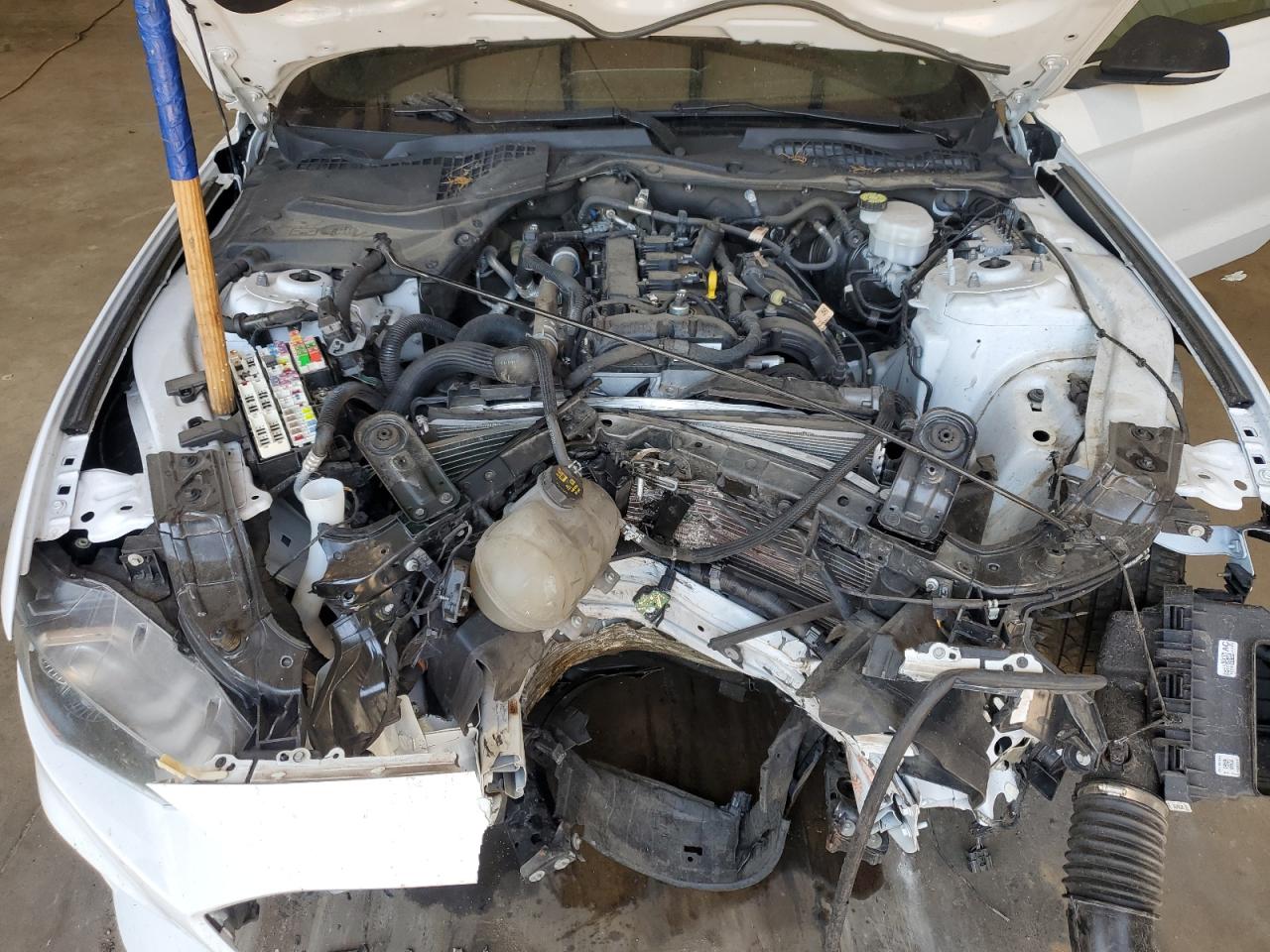 2022 Ford Mustang VIN: 1FA6P8TH6N5100254 Lot: 53247395