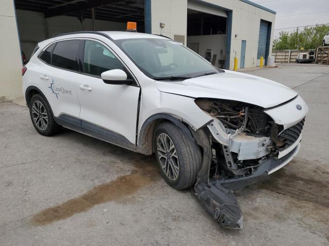  FORD ESCAPE 2020 Белы