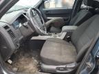 2010 Ford Escape Xlt for Sale in Woodhaven, MI - Rear End