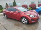 2014 Hyundai Elantra Se   en Venta en Louisville, KY - Hail
