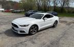2016 Ford Mustang  zu verkaufen in Kansas City, KS - Normal Wear