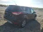 2015 Ford Escape Se for Sale in Cahokia Heights, IL - Hail