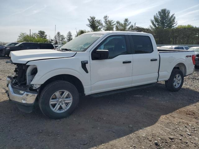  FORD F-150 2023 Белый