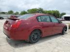 2007 Nissan Maxima Se   for Sale in Corpus Christi, TX - Front End