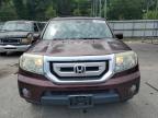 2011 Honda Pilot Exl продається в Savannah, GA - Minor Dent/Scratches