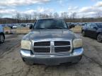 2005 Dodge Dakota Slt продається в Marlboro, NY - All Over