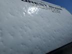 2025 Wildcat Trailer for Sale in Earlington, KY - Front End